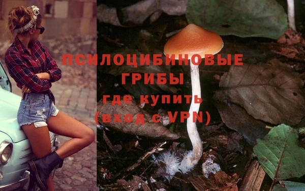 индика Абаза