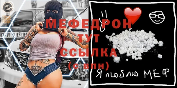индика Абаза