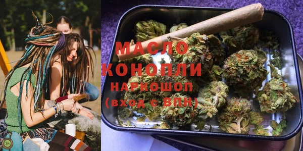 индика Абаза