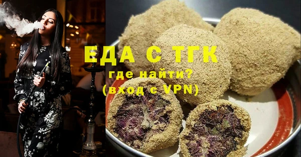 индика Алексин