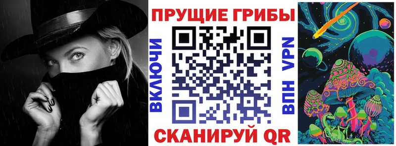 сколько стоит  Ахтырский  Галлюциногенные грибы MAGIC MUSHROOMS 